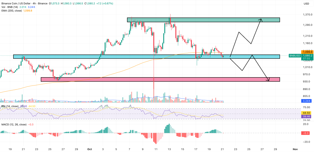 bnb coin price chart