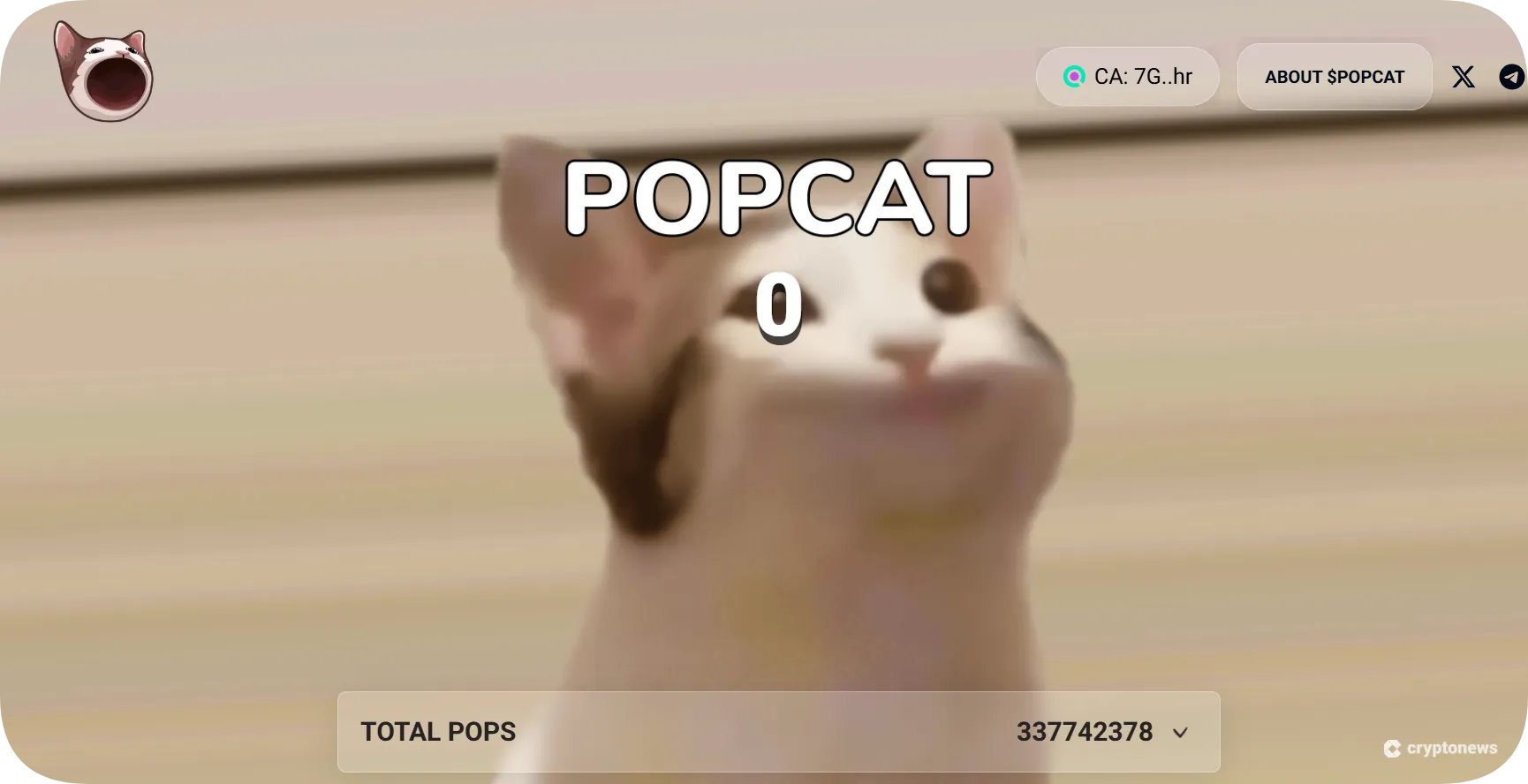 popcat homepage