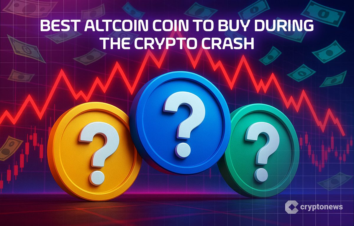 Best Altcoin Coin to Buy During the Crypto Crash – 24 November
