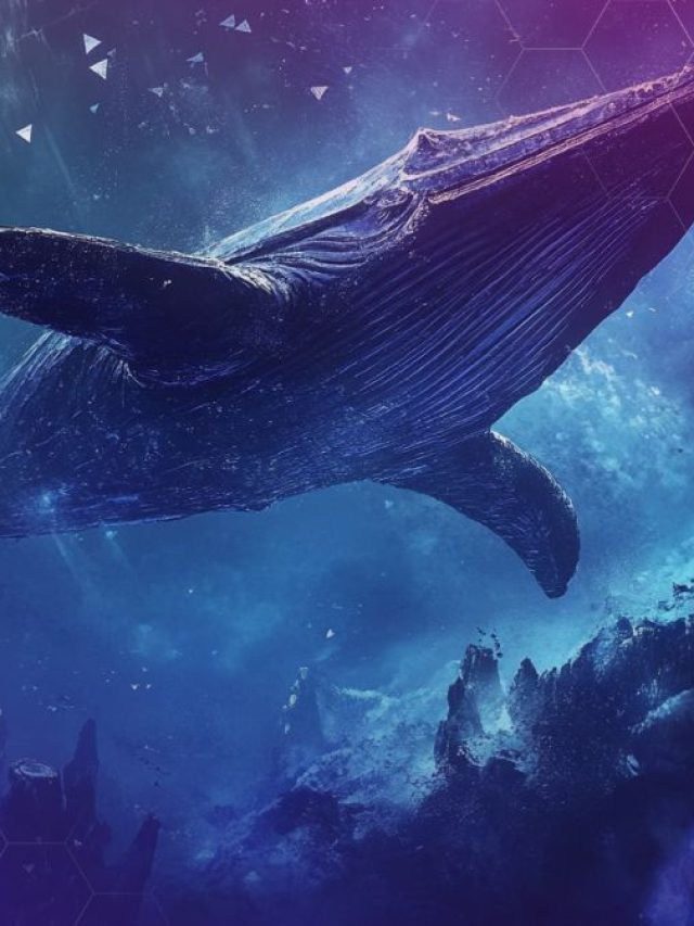 Hyperliquid Whale Who Made $200M on Oct. 10 Crash Now Long $44.5M in ETH