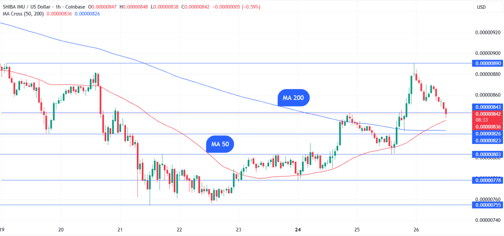 shiba inu golden cross