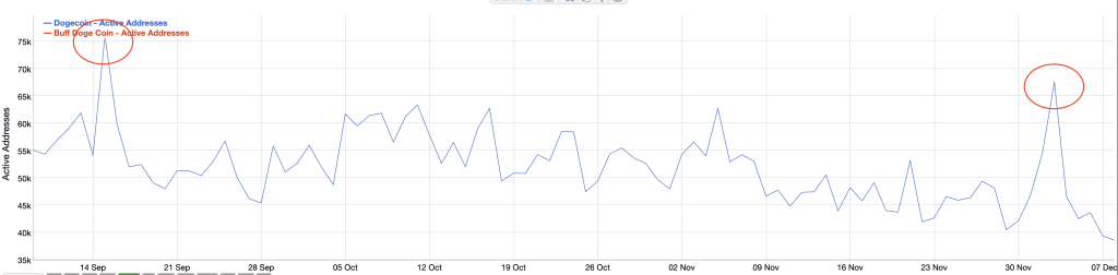 dogecoin on-chain data