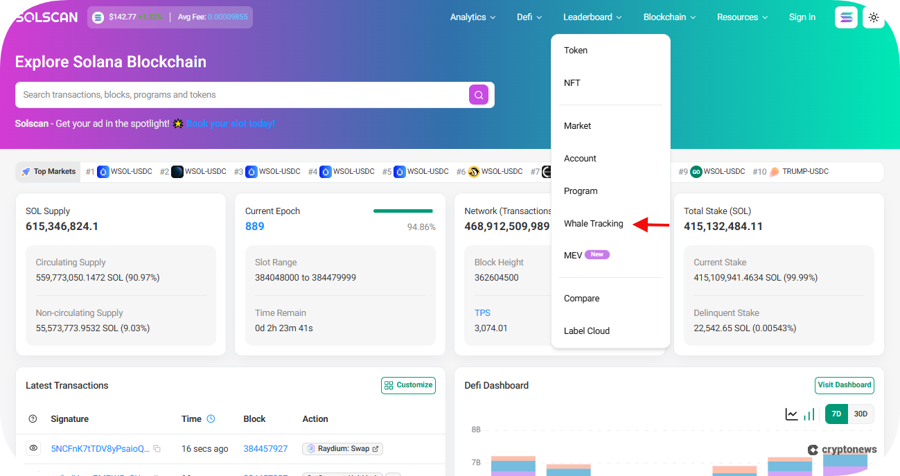solscan whale tracking