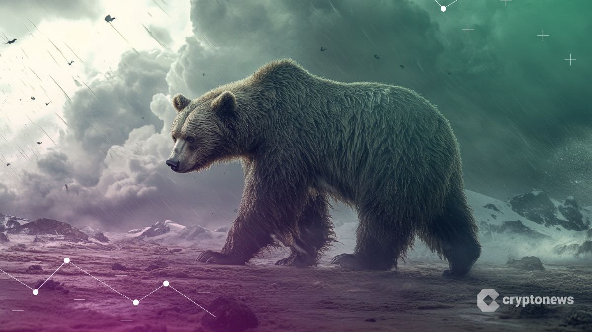 A Storm Is Coming and Bear May Follow, Expert Says