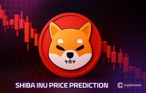 Shiba Inu Price Prediction: Fear Grips Traders As SHIB Posts 66% Price Decrease YoY
