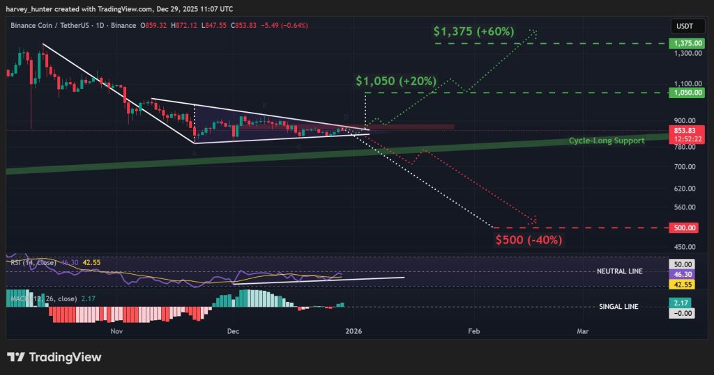 BNB / USD 1-day chart, bearish pennant pattern. Source: TradingView.