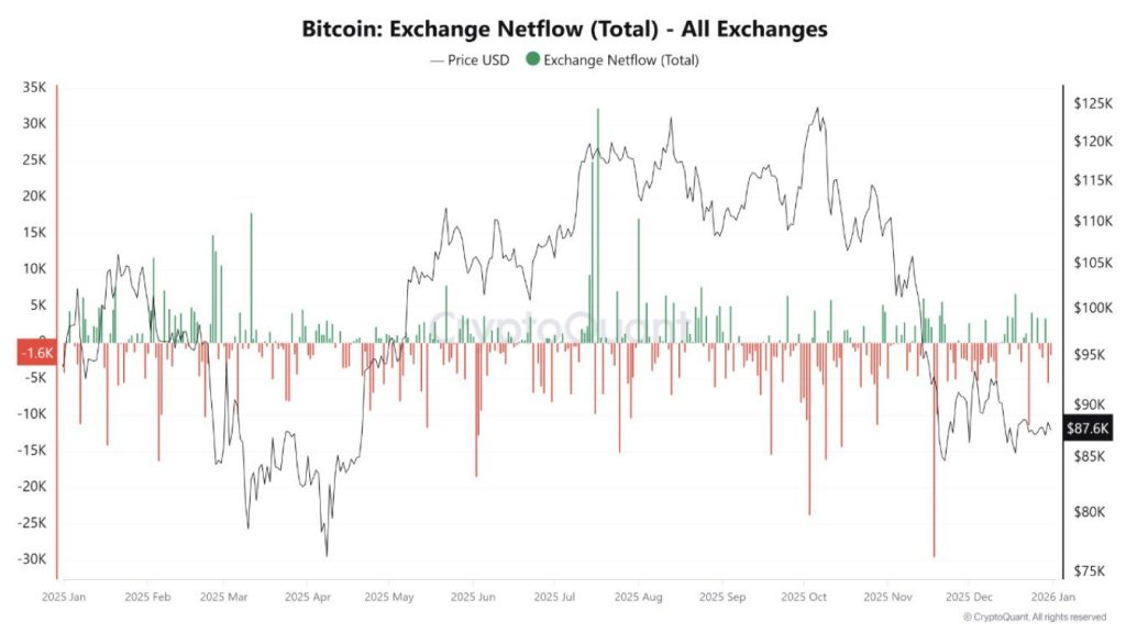 Bitcoin ETFs 2025 - Exchange Netflow