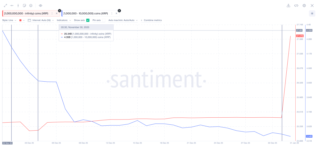 xrp whale accumulation