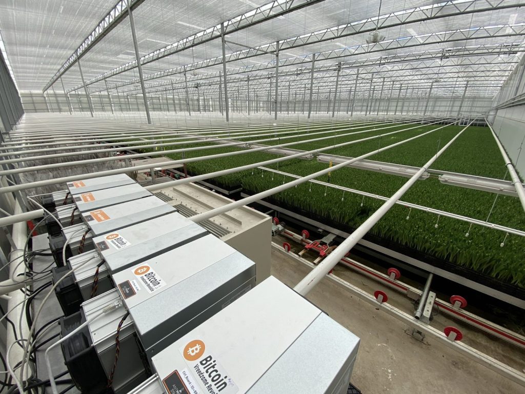 Canaan Bitcoin Mining - Bitcoin Mining Greenhouse image