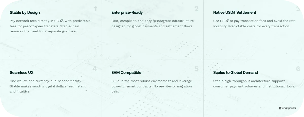 Use cases and market fit of the new crypto project with huge potential, stable (stable)