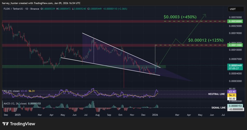 FLOKI USDT 1-денний графік, спадаючий клин. Джерело: TradingView.
