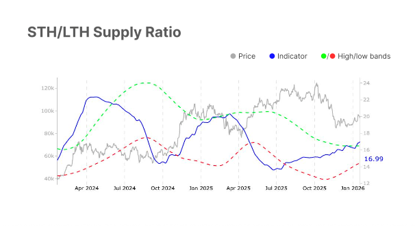 Bitcoin ETF Demand - STH/LTH Supply Ratio Chart