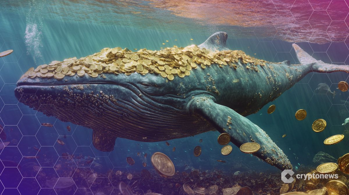 Менеджер по активам SkyBridge готовится к чоппи-рынкам и верит в биткоин - CryptoNews.com | Related Crypto Article