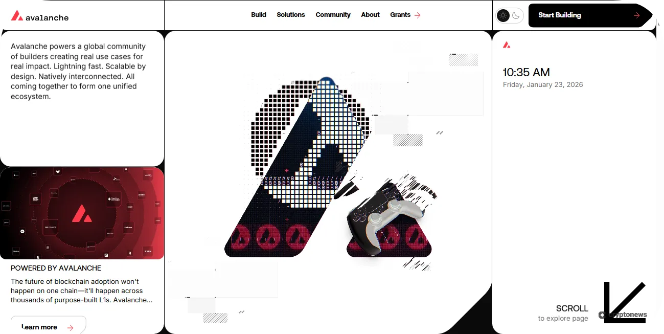 best dino coins avalanche