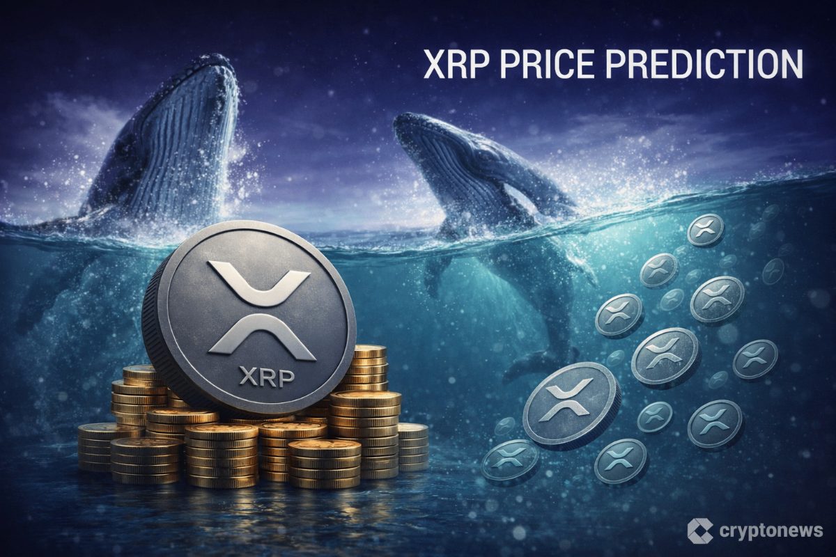 XRP holders are under pressure as losses rise, but whales quietly added 210M coins, what does this mean for long term price prediction?