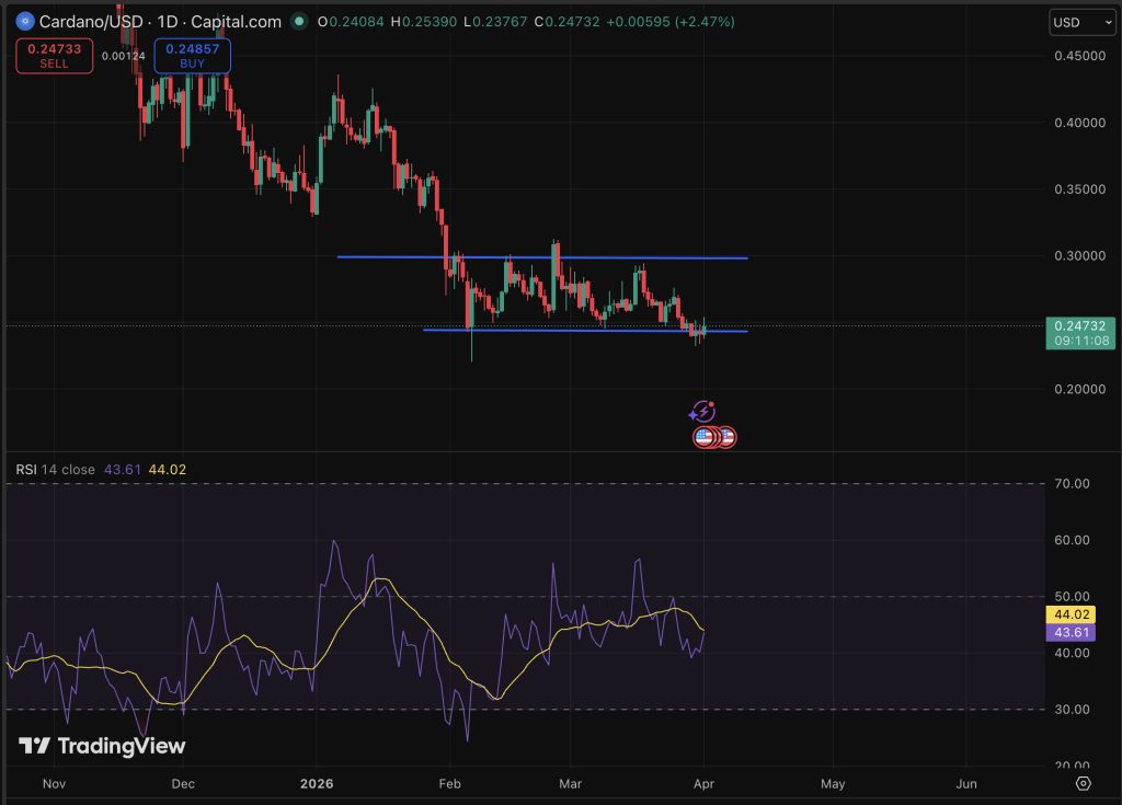 Cardano price is at $0.27, up by 2.8% in 24 hours, clawing back ground after weeks of compression and bad prediction in the low-$0.24 range.