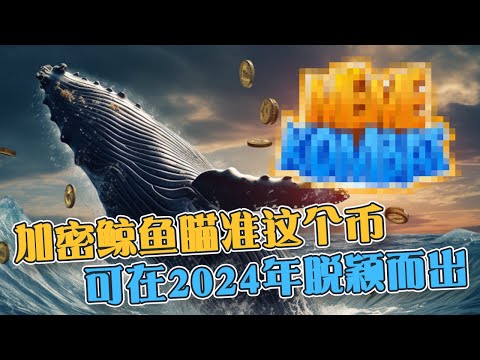 加密鲸鱼正瞄准这个币  可在2024年脱颖而出！