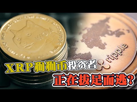 XRP狗狗币投资者 正在拔足而逃？