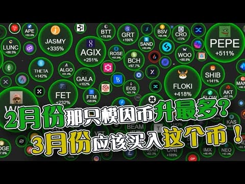 那只模因币升最多？3月份应该买入这个币！