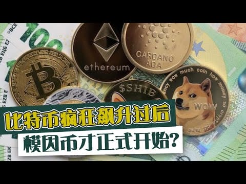 比特币疯狂飙升过后  模因币才正式开始？