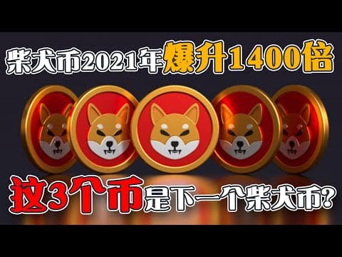 柴犬币2021年升1400倍  这3个币是下一个柴犬币？