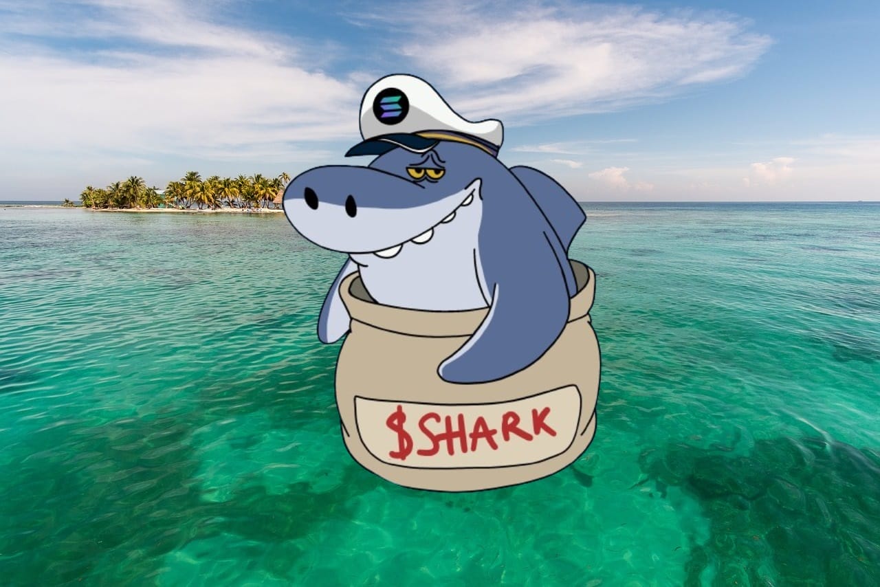 随着Shark代币在24小时内上涨134,948%　另一种代币正寻求新的交易所上市！