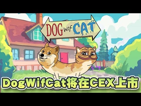 DogWifCat将在CEX上市？另一新迷因币焦点快将预售結束！