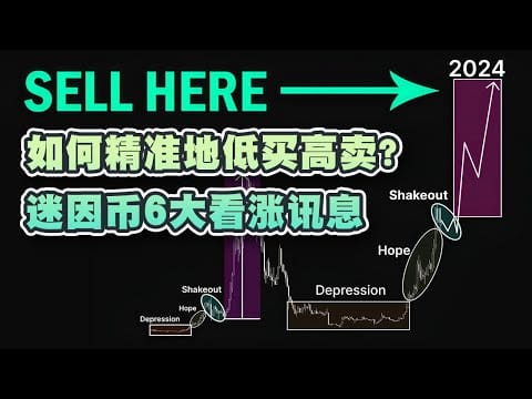 如何精准地低买高卖？加密研究员：迷因币6大看涨讯息