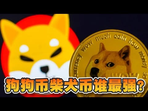 狗狗币柴犬币谁最强？从市值看两者差别！5月有甚么焦点迷因币？