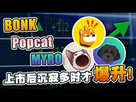 BONK上市一年才达峰值！Popcat和MRYO同样沉寂多时才爆发！