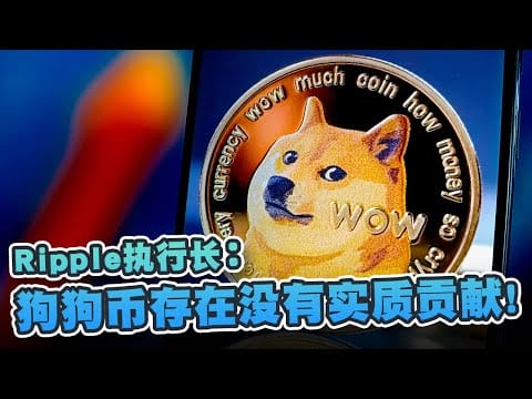 Ripple执行长：狗狗币没实质贡献！令投资人对真正有价值的加密货币失去信心