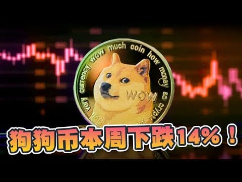 狗狗币本周下跌14%！巨鲸实时购入2800万美元！现在是低位买入机会？