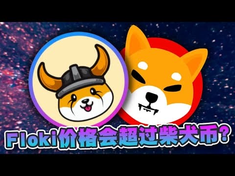 Floki价格会超过柴犬币？PEPE昨夜吸纳了3亿美元！迷因币反弹正式开始？