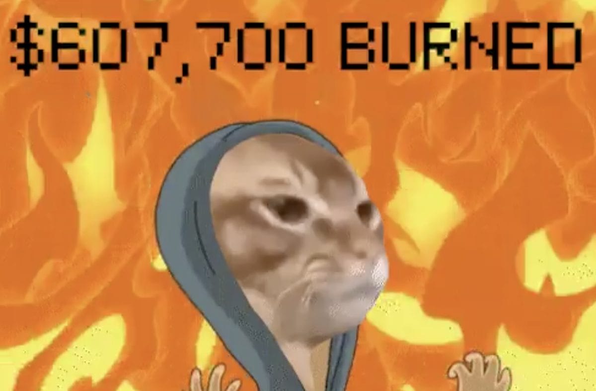 继 Popcat 之后　下一个10 亿美元猫迷因币 Catslap (SLAP) 价格暴涨143%