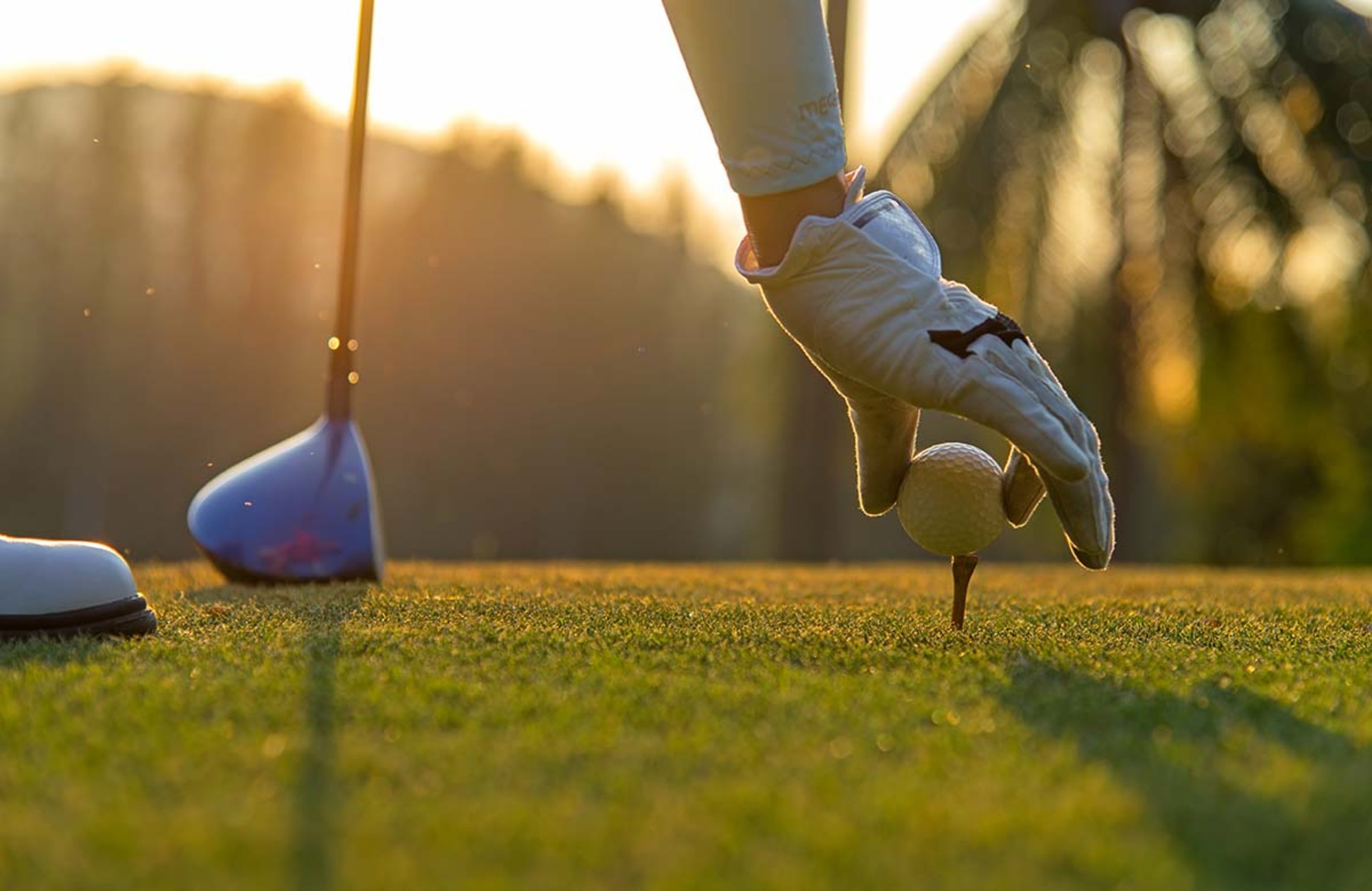 Apuestas golf 2024 ¡Conoce los mejores sitios!
