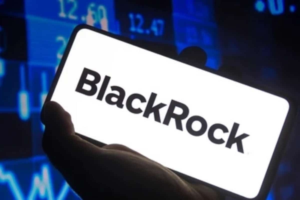 blackrock company