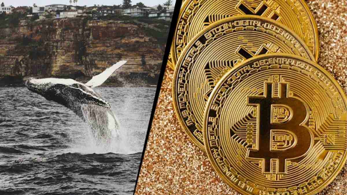 mercado de bitcoin