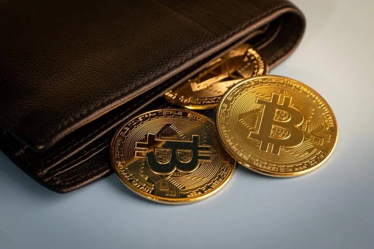 wallet Bitcoin