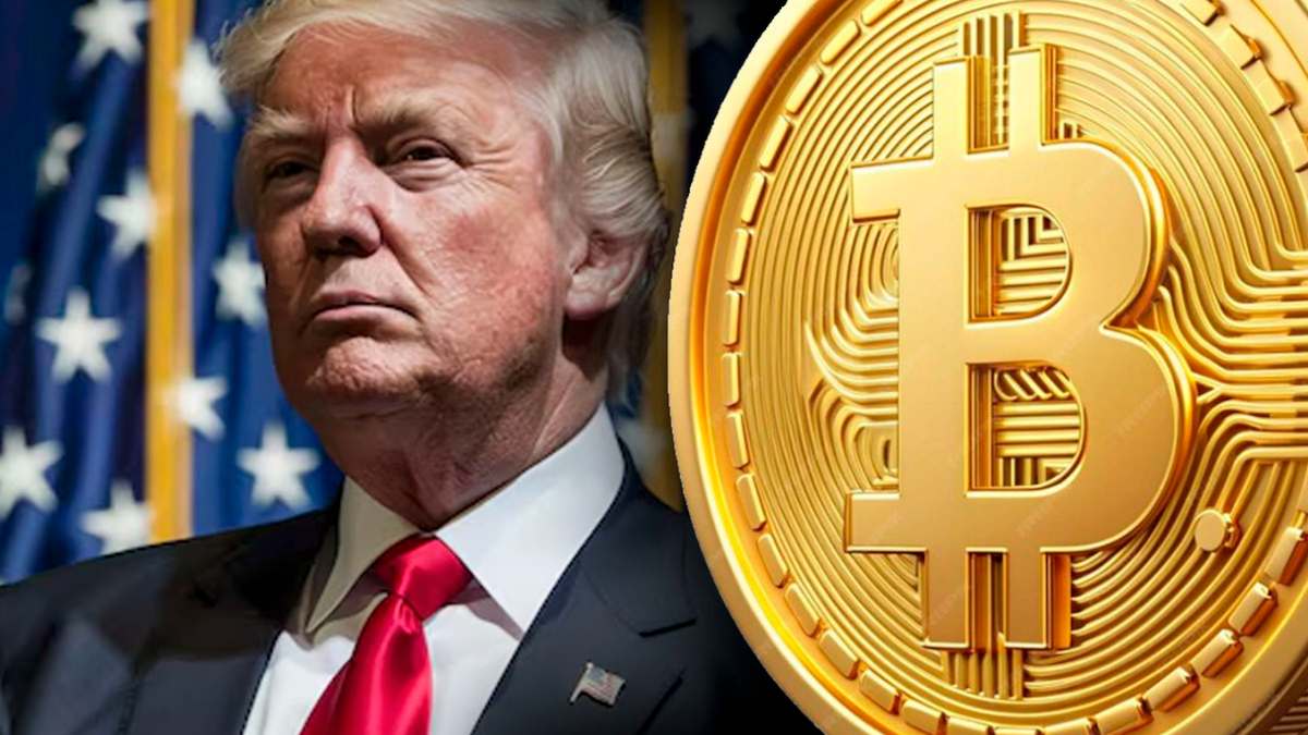 holders de criptomonedas