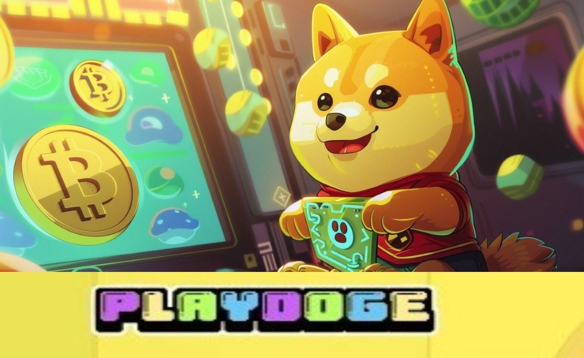 PlayDoge
