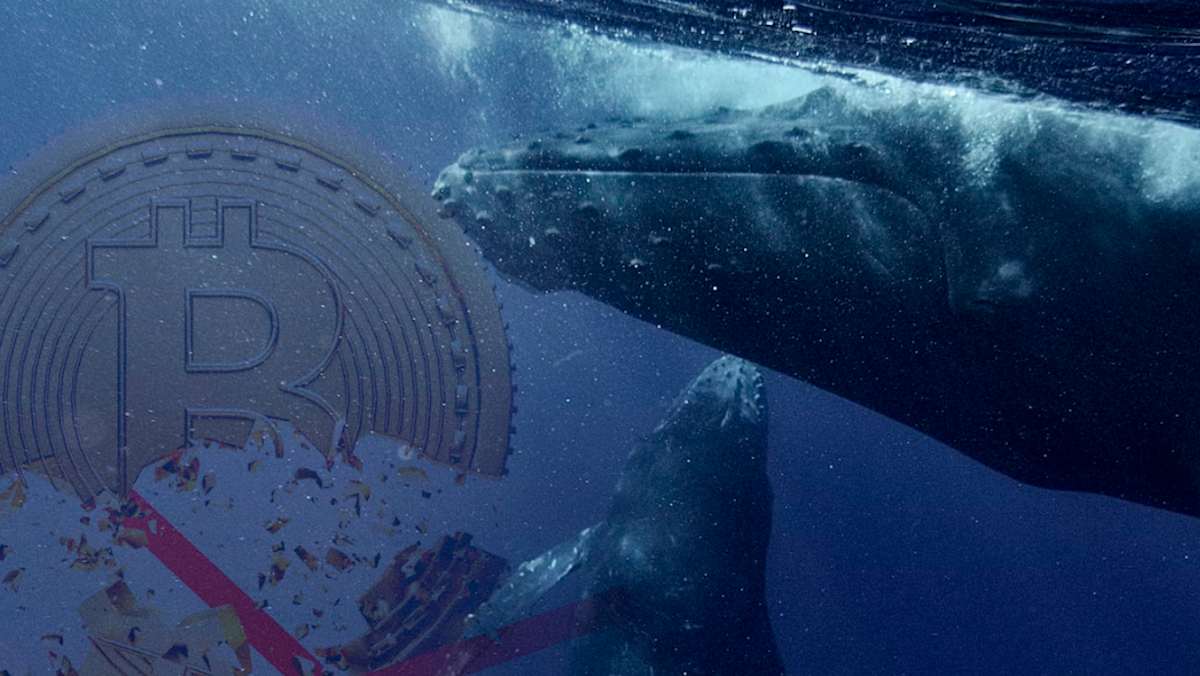 ballenas crypto
