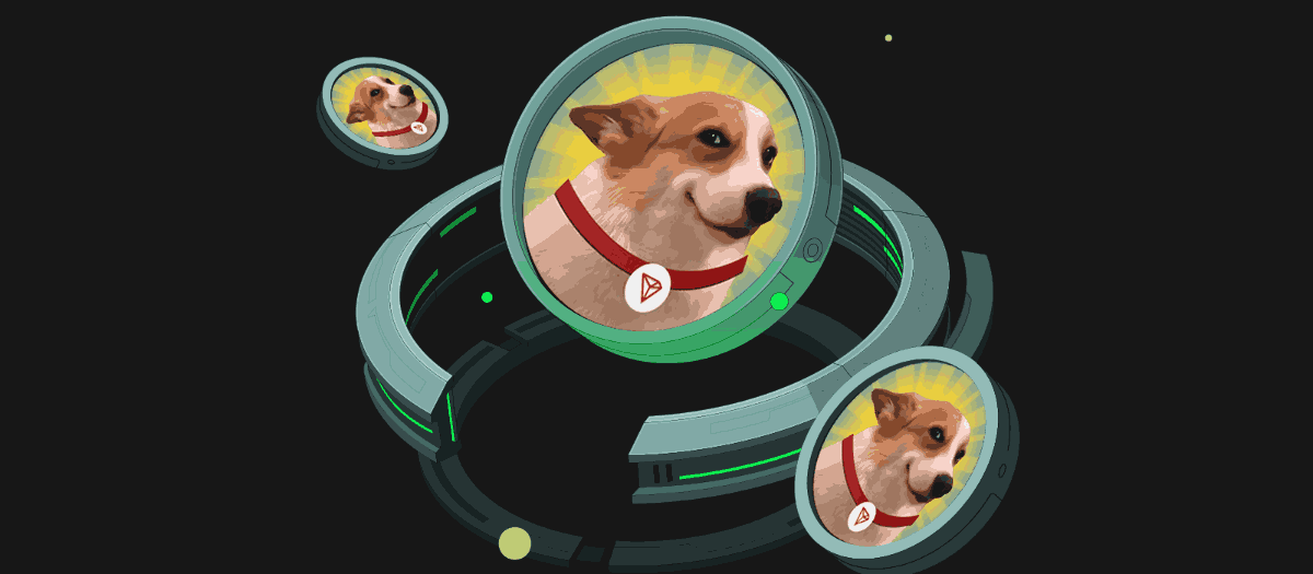 precio-sundog