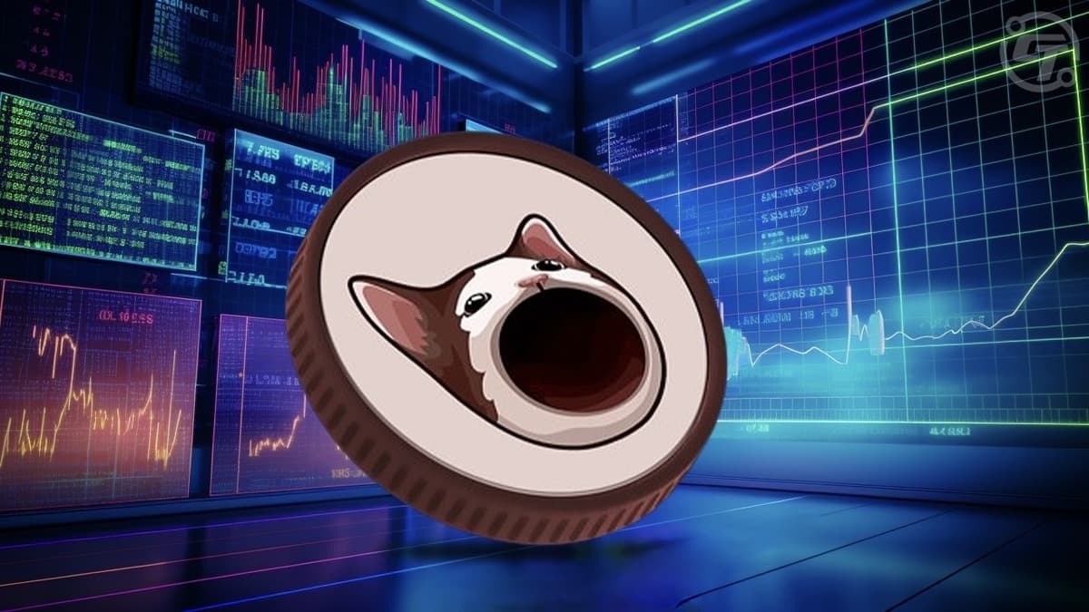 Popcat supera a Bonk en capitalización de mercado - Nuevas memecoins