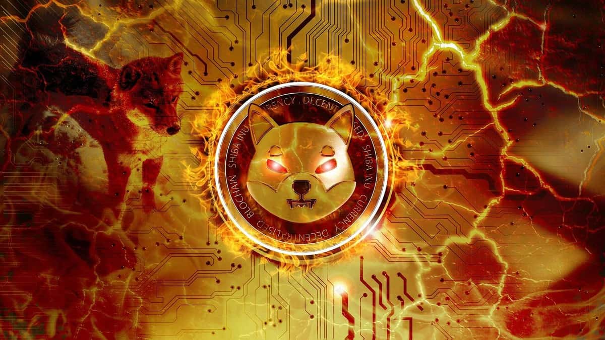 La tasa de quema de SHIB coin se dispara