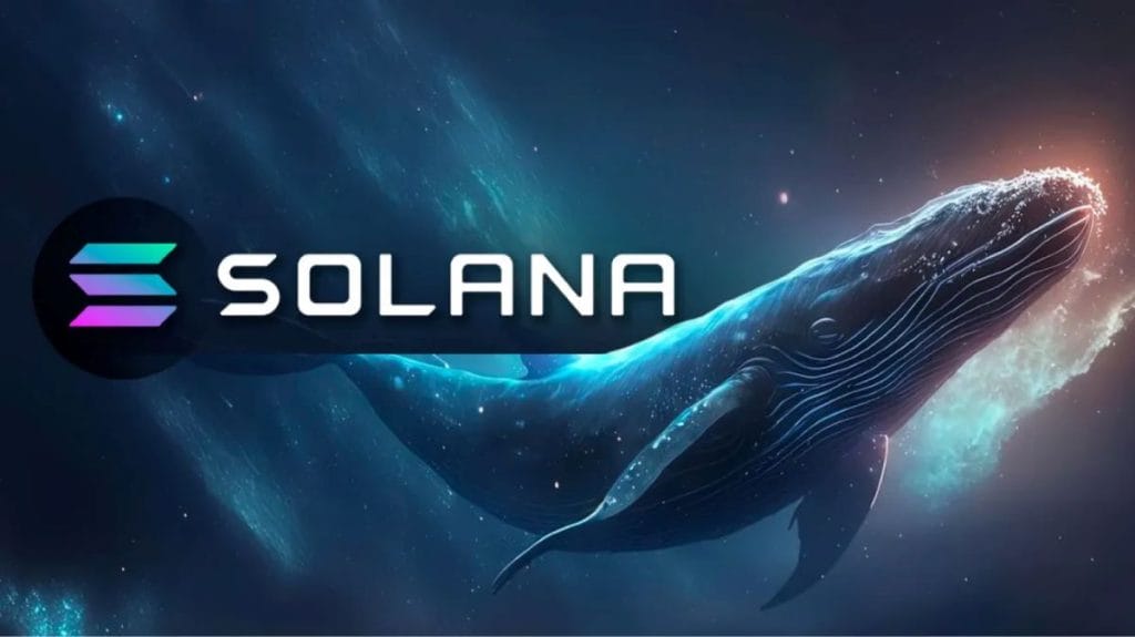 Se estima que el 60% de SOL pertenece a grandes inversores.