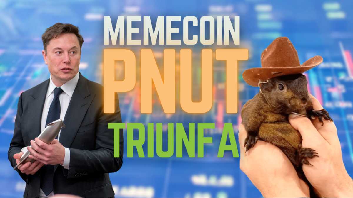 Memecoin PNUT triunfa gracias a ELON MUSK – SOLANA presenta tu Stablecoin eUSD