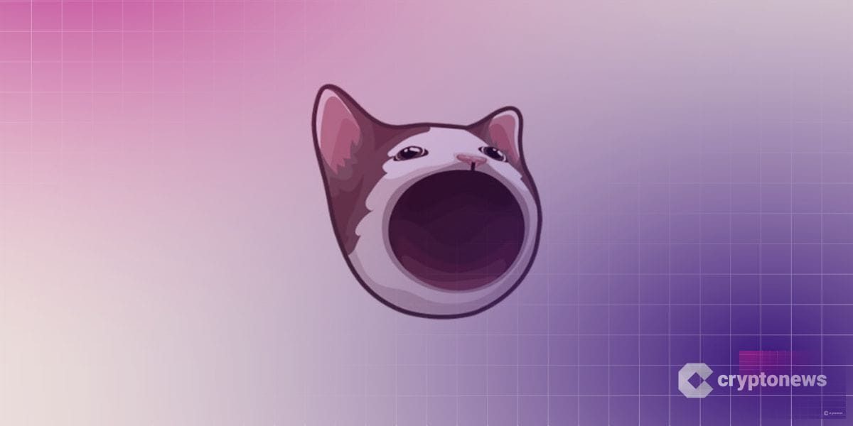 Precio Popcat, meme de la criptomoneda