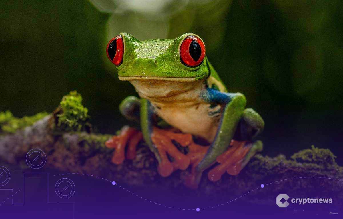 Predicción Pepe coin: ¿Podría superar a Shiba Inu?