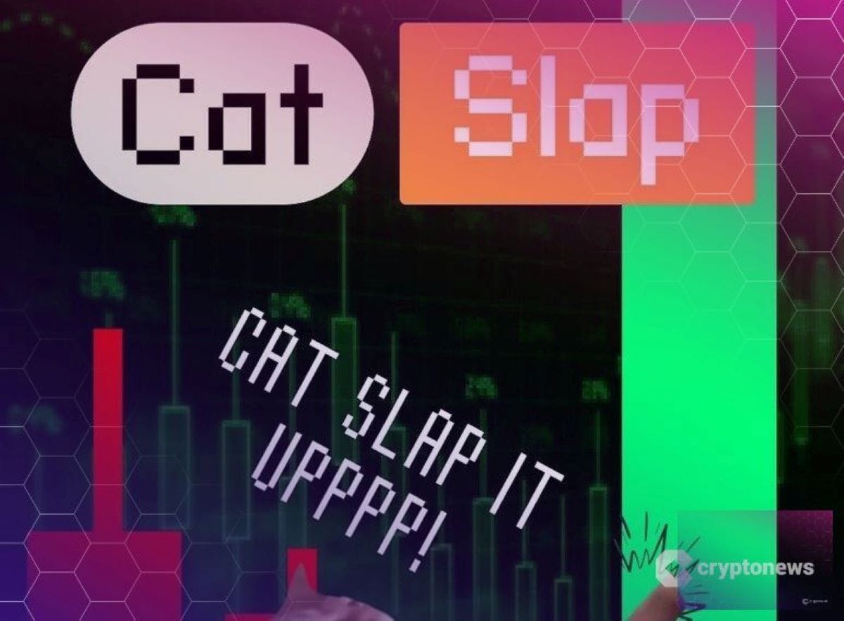 El precio de CatSlap sube un 51%