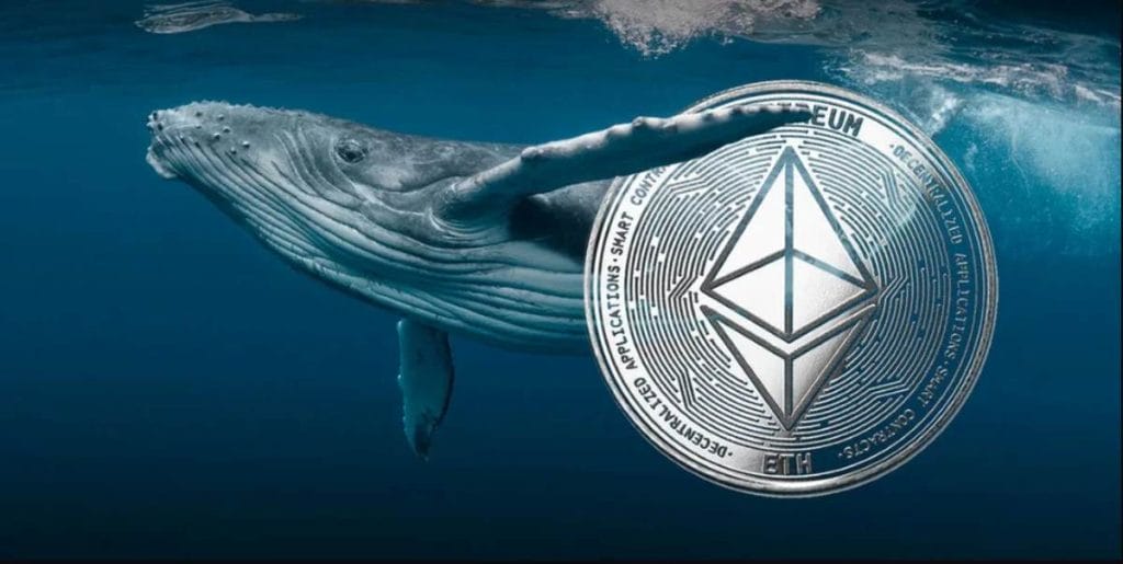 Las transacciones de ballenas llegaron a un pico de 11.210 este mes